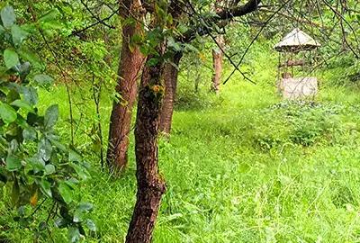 Vand proprietate in Vadu Cri?ului, jud. Bihor - 9