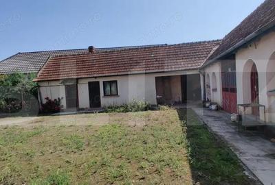 Casa mare cu gospodarie completa Belin?, jude?ul Timi? teren 4.900 mp - 6