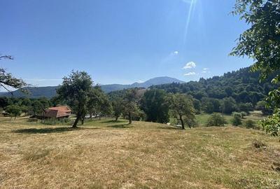 Teren extravilan de vanzare in Rasnov | 6.070 mp | Vedere panoramica - 7