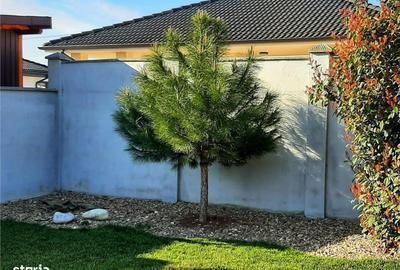 Casă cu 3 camere cu Teren 501 Mp în Sântandrei - 2