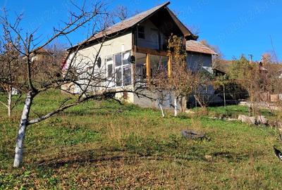 Casă cu Teren 6772 Mp în Ursoaia - 2