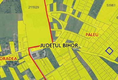 Teren de 1000 mp, în Săldăbagiu de Munte - 5