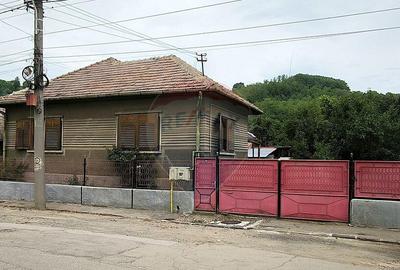 Casa pe un nivel in Medias, teren 533 mp, curte dreapta - 15