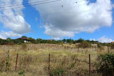 Teren intravilan 500 mp – Tomești, Chicerea – utilități, parcelat - 8