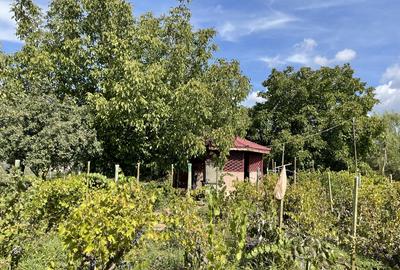 Malu, sat Butoiu Ialomita - 11