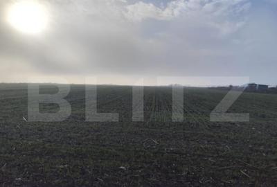 Teren 8400 mp extravilan, Miroslava-Vorovesti - 4