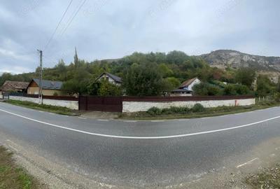 Casă cu 2 camere cu Teren 4000 Mp în Poiana Aiudului - 6