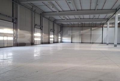 Spațiu comercial, de 4,026 mp, în Borș - 5
