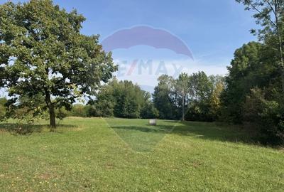 Teren Construcții intravilan de 10000 mp, în Călățele - 2