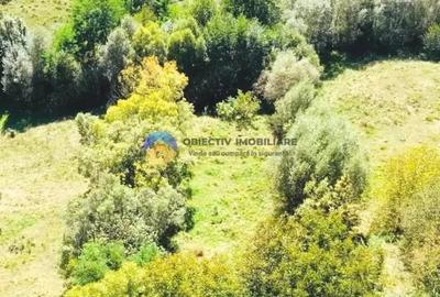 TEREN intravilan 2510 mp BORLE?TI - ?OVOAIA - 8