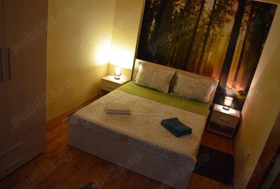 Inchiriez apartament Centrul Istoric - 8