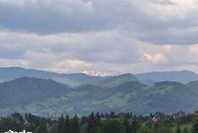 Teren de 1200 mp, în Dâmbovicioara - 6