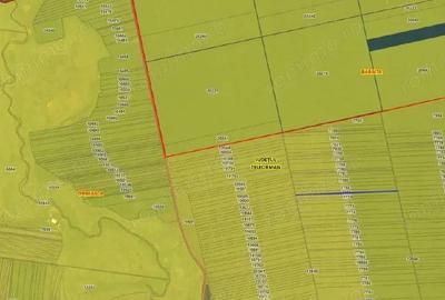 Teren extravilan Orbeasca, ID: R2836912 - 12