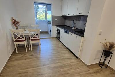 Mega Mall - 3 camere , centrala proprie , renovat complet - 14