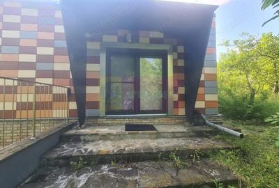 Casă cu 6 camere cu Teren 6600 Mp în Cornu - 9