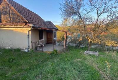 Casă cu 2 camere cu Teren 470 Mp în Iara - 1