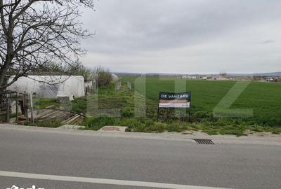 Teren de 8600 mp, în Podgoria - 5