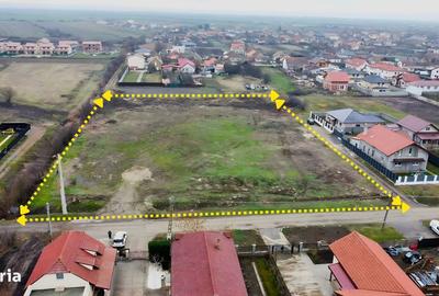 Teren de 6000 mp, în Săcălaz - 1