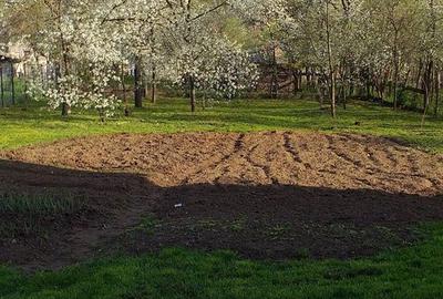 Casă cu 2 camere cu Teren 1200 Mp în Căpușu Mare - 9