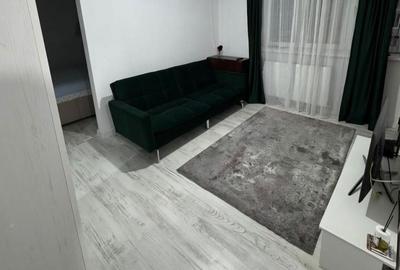 Apartament cu 2 camere în Valea Rosie - 4