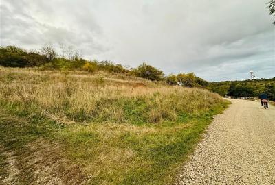 TEREN INTRAVILAN, 950 MP, ZONA PALEU, STRADA PADURII - 2