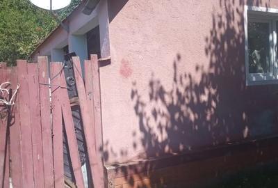 Casă cu 2 camere în Odvoș - 1