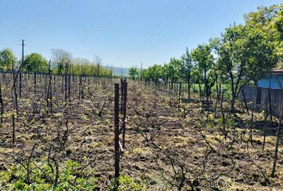 Casă cu 4 camere în Măcărești - 3