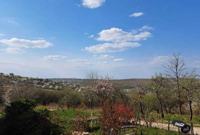 Spațiu comercial, în Spitalul Județean