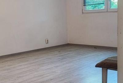 Apartament cu 3 camere decomandat în Valea Oltului - 17