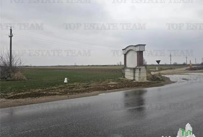 Teren de 7169 mp, în Palanca