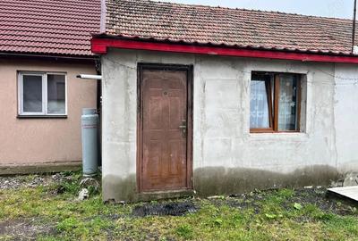 Casă cu 2 camere în Aradului - 3