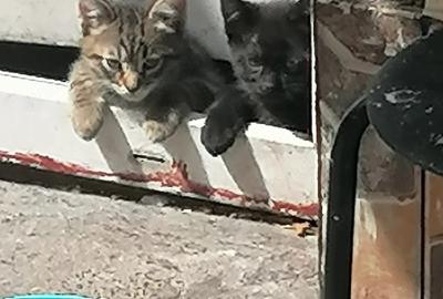 Garsonieră decomandată în Drumul Taberei - 1