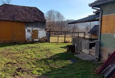 Casă în Ciucea - 9