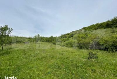 Casă cu 8 camere cu Teren 8700 Mp în Mintiu Gherlii - 11