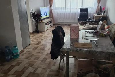 Casă cu Teren 7066 Mp în Dobroteasa - 4