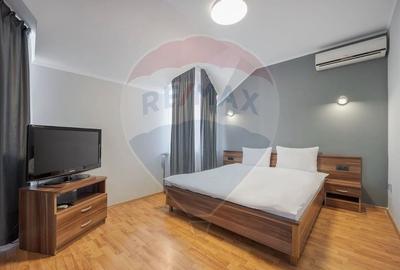 Casă / Vilă cu 16 camere de vânzare Sanmartin/Stefan cel Mare - 19