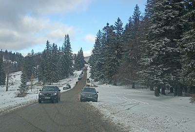 Teren Construcții intravilan de 900 mp, în Predeal - 5