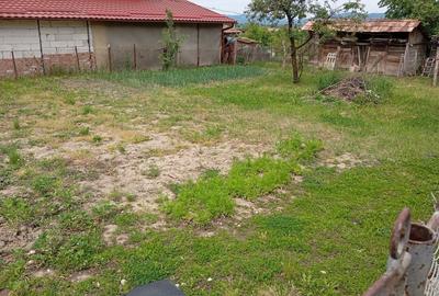 Casă cu 2 camere în Urișor - 5