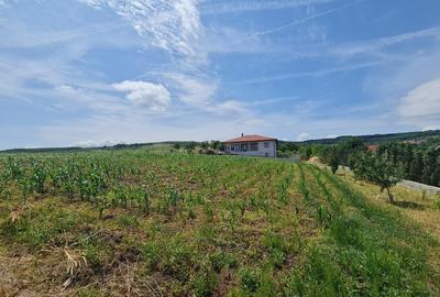 Teren Intravilan 1846 mp Casa | Duplex - 4