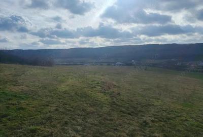 Teren de 5487 mp, în Betfia - 4