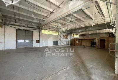 Hala depozitare sau productie cu rampa beton, 280 mp, Zona Buziasului - 3