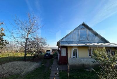 Teren de 13000 mp, în Lucăcești - 4