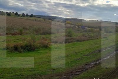 Teren de 1760 mp, în Corușu