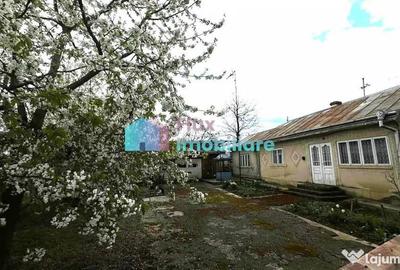 Casă cu 3 camere cu Teren 1410 Mp în Dumbrăveni - 1