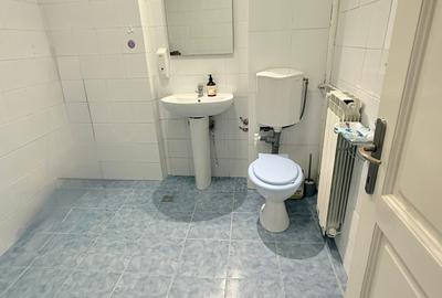 Vila in zona Mosilor / D+P+1+M/ Ideala  Birouri, Clinica, After school-330 mp - 18