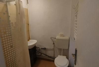 Garsonieră decomandată, mobilată în Buziașului - 2