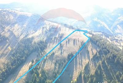 Teren de 47732 mp, în Panaci - 8