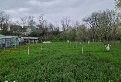 Teren de 1809 mp, în Moțăieni - 8