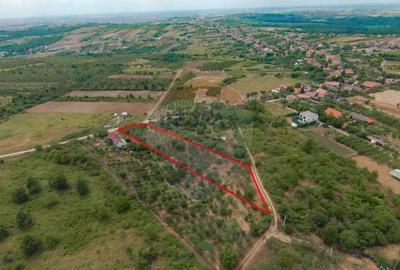 De vanzare Teren 3995mp intravilan Saldabagiu de Munte - 9