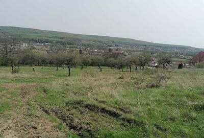 Spațiu comercial, în Stâlpeni - 7